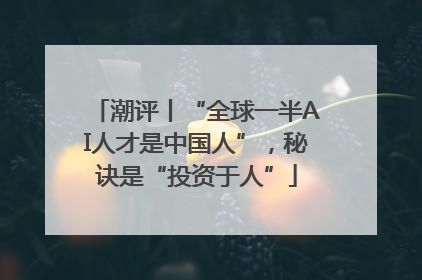 潮评丨“全球一半AI人才是中国人”，秘诀是“投资于人”