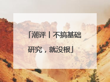 潮评丨不搞基础研究，就没根