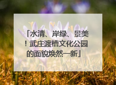 水清、岸绿、景美！武庄渡槽文化公园的面貌焕然一新
