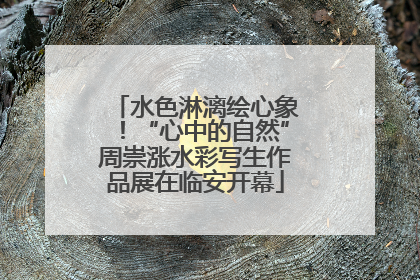 水色淋漓绘心象！“心中的自然”周崇涨水彩写生作品展在临安开幕