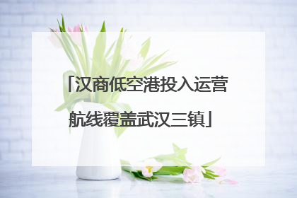 汉商低空港投入运营 航线覆盖武汉三镇