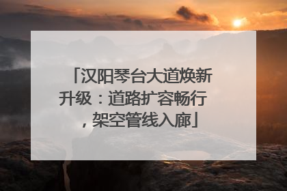 汉阳琴台大道焕新升级：道路扩容畅行，架空管线入廊