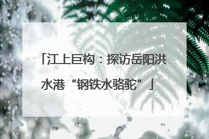江上巨构：探访岳阳洪水港“钢铁水骆驼”