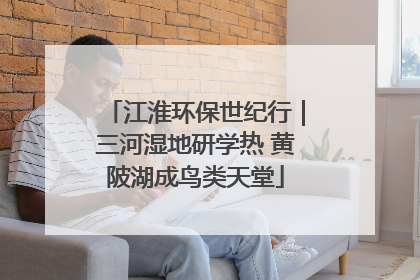 江淮环保世纪行｜三河湿地研学热 黄陂湖成鸟类天堂