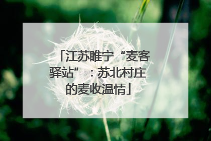 江苏睢宁“麦客驿站”：苏北村庄的麦收温情