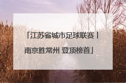 江苏省城市足球联赛丨南京胜常州 登顶榜首