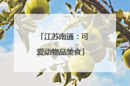 江苏南通：可爱动物品美食