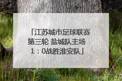 江苏城市足球联赛第三轮 盐城队主场1：0战胜淮安队
