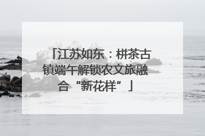江苏如东：栟茶古镇端午解锁农文旅融合“新花样”