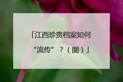 江西珍贵档案如何“流传”？（图）