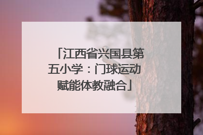 江西省兴国县第五小学：门球运动赋能体教融合