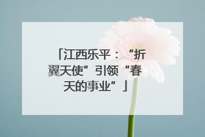 江西乐平：“折翼天使”引领“春天的事业”
