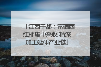 江西于都：富硒西红柿集中采收 精深加工延伸产业链