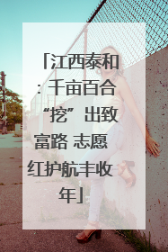 江西泰和：千亩百合“挖”出致富路 志愿红护航丰收年