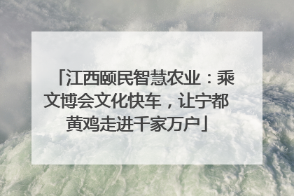 江西颐民智慧农业：乘文博会文化快车，让宁都黄鸡走进千家万户