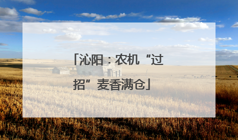 沁阳：农机“过招”麦香满仓