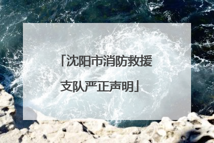 沈阳市消防救援支队严正声明