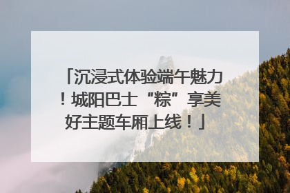 沉浸式体验端午魅力！城阳巴士“粽”享美好主题车厢上线！
