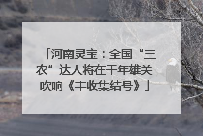 河南灵宝：全国“三农”达人将在千年雄关吹响《丰收集结号》