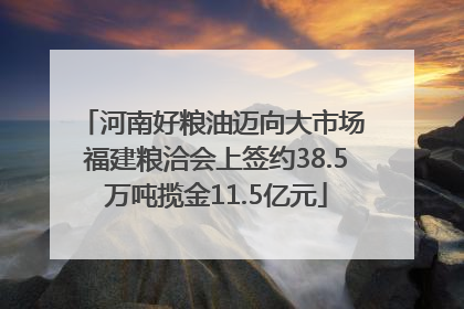 河南好粮油迈向大市场 福建粮洽会上签约38.5万吨揽金11.5亿元