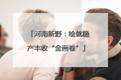 河南新野：绘就稳产丰收“金画卷”