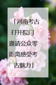 河南考古打开院门 邀请公众零距离感受考古魅力