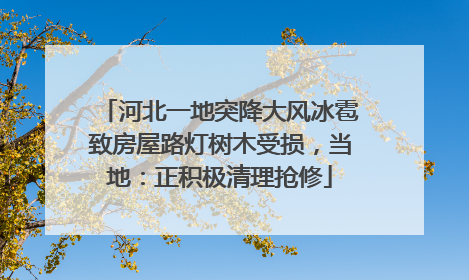 河北一地突降大风冰雹致房屋路灯树木受损，当地：正积极清理抢修
