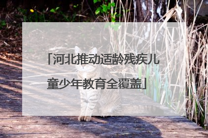 河北推动适龄残疾儿童少年教育全覆盖