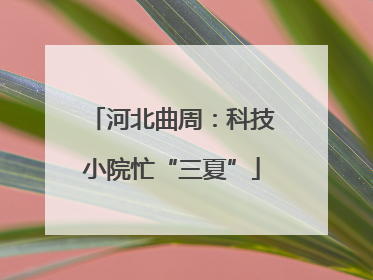 河北曲周：科技小院忙“三夏”