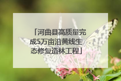 河曲县高质量完成5万亩沿黄线生态修复造林工程
