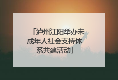 泸州江阳举办未成年人社会支持体系共建活动