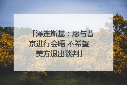 泽连斯基：愿与普京进行会晤 不希望美方退出谈判
