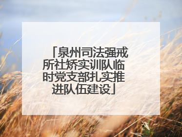 泉州司法强戒所社矫实训队临时党支部扎实推进队伍建设