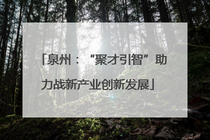 泉州：“聚才引智”助力战新产业创新发展