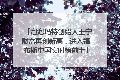 泡泡玛特创始人王宁财富再创新高，进入福布斯中国实时榜前十