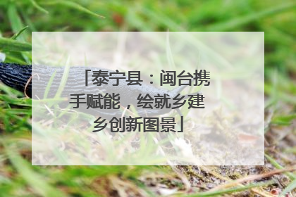 泰宁县：闽台携手赋能，绘就乡建乡创新图景