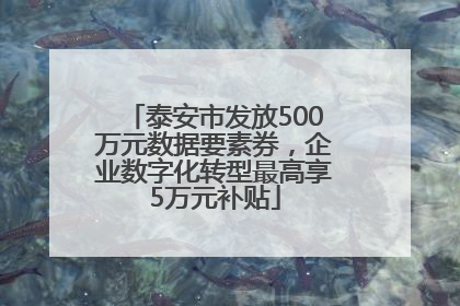 泰安市发放500万元数据要素券，企业数字化转型最高享5万元补贴