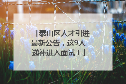 泰山区人才引进最新公告，这9人递补进入面试！