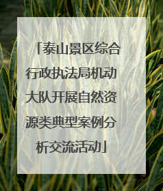 泰山景区综合行政执法局机动大队开展自然资源类典型案例分析交流活动