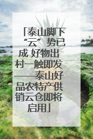 泰山脚下“云”势已成 好物出村一触即发——泰山好品农特产供销云仓即将启用