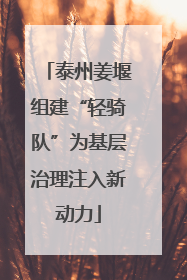 泰州姜堰组建“轻骑队”为基层治理注入新动力