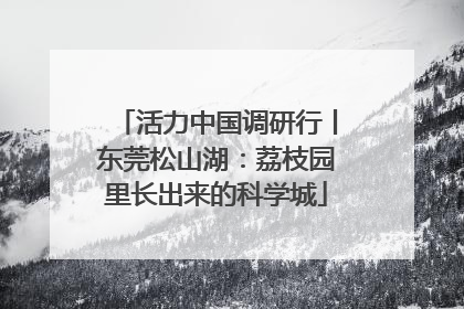 活力中国调研行丨东莞松山湖：荔枝园里长出来的科学城