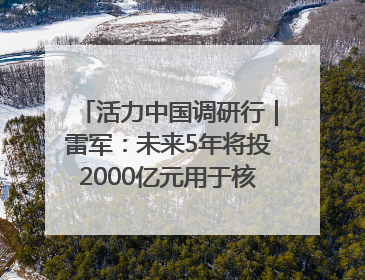 活力中国调研行｜雷军：未来5年将投2000亿元用于核心技术研发