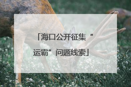 海口公开征集“运霸”问题线索
