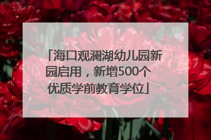 海口观澜湖幼儿园新园启用，新增500个优质学前教育学位