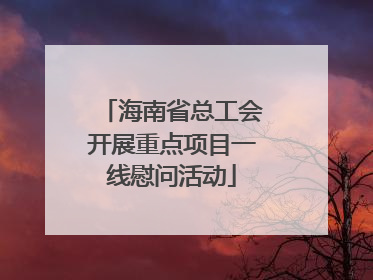 海南省总工会开展重点项目一线慰问活动