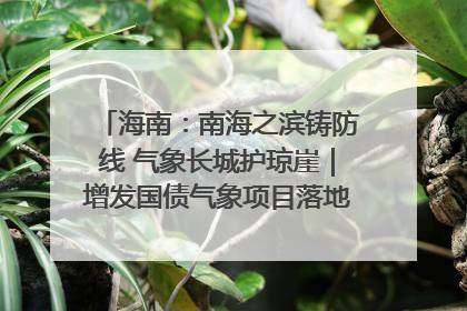 海南：南海之滨铸防线 气象长城护琼崖｜增发国债气象项目落地见效系列报道