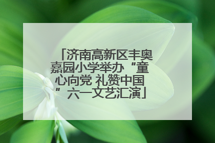 济南高新区丰奥嘉园小学举办“童心向党 礼赞中国”六一文艺汇演