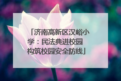 济南高新区汉峪小学：民法典进校园 构筑校园安全防线