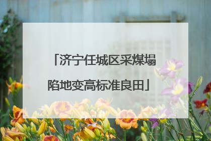 济宁任城区采煤塌陷地变高标准良田